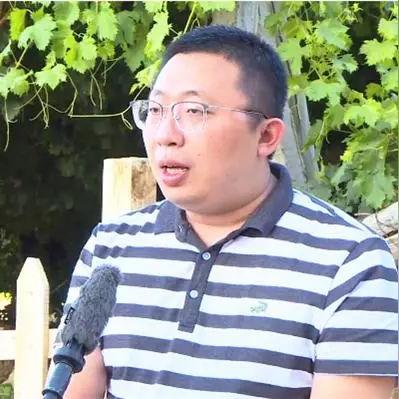 顺丰名片深度解读，数据预测未来趋势分析