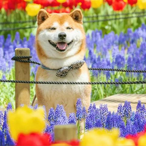 花山河项目最新进展动态