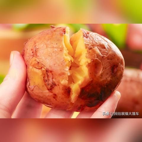土豆价格最新行情分析