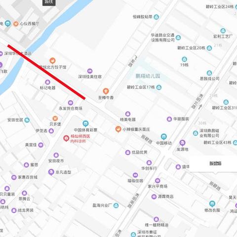 坪山地区最新新闻报道速递