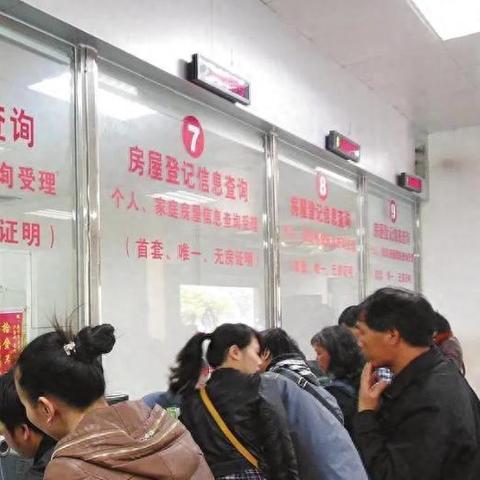 最新楼市政策解读，数据揭示真相