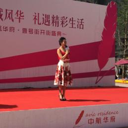 中航华府价格暴跌，深度分析与市场洞察报告