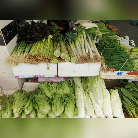 成鹅价格最新行情走势分析