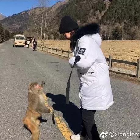 恩波格斗赛场热血瞬间，最新比赛精彩回顾