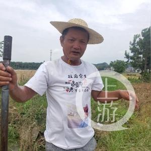 技术服务 第110页