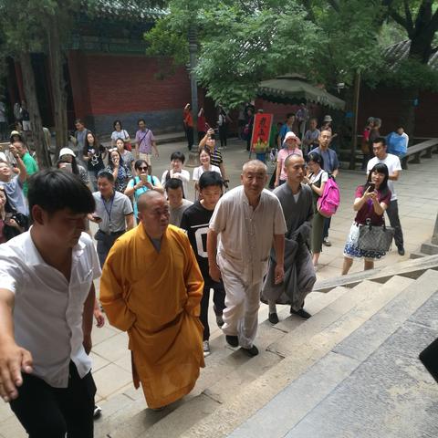 拍大师最新版，功能丰富，操作便捷，免费下载