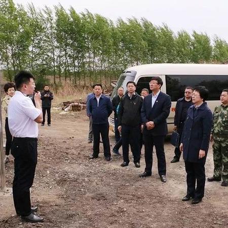 阿城钢铁最新消息动态更新