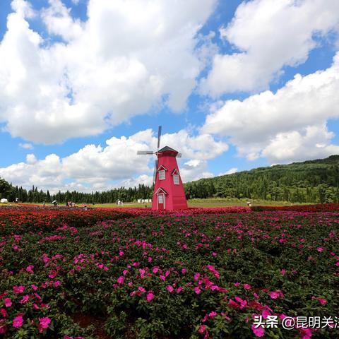 云南楼市动态更新，投资热点与趋势展望