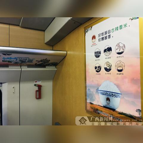 广西宾阳最新新闻动态