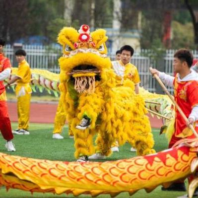 湖南校园暴力事件深度解析，最新视频曝光