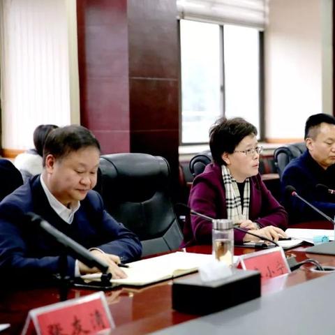 眉山崇礼新城规划详解，最新规划概览