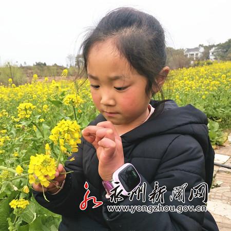 蔡市镇旅游村进展更新报告