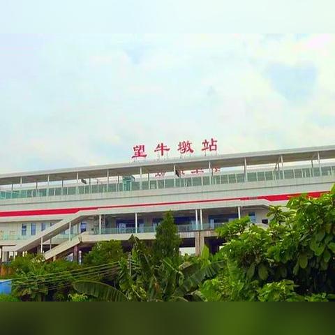 穗莞深城轨进展更新报告，最新动态揭秘