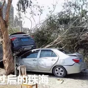 热带风暴天鸽最新动态深度解析