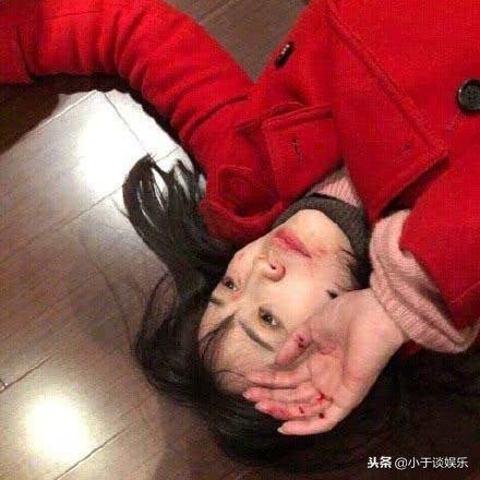 国内最新重大新闻事件深度解读