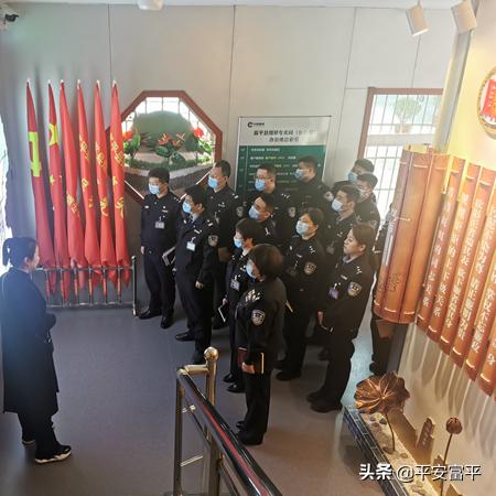 富平县最新规划图深度解析，未来蓝图与发展洞察