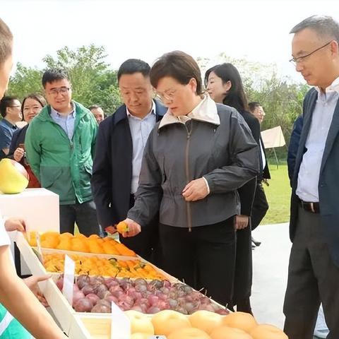 中江中凯一号房价走势分析