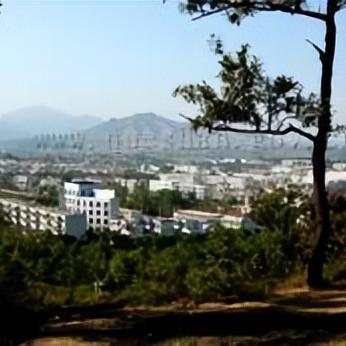 确山香山一品房价走势分析