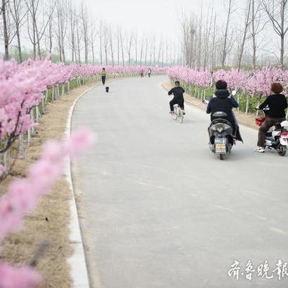 济南北跨最新动态深度解析